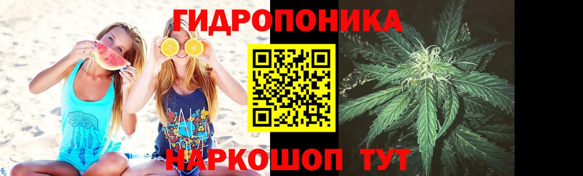 Марихуана план  Каннабис VHQ  Канабис AK-47  Вход с VPN  Бошки Шишки конопля  Югорск 
